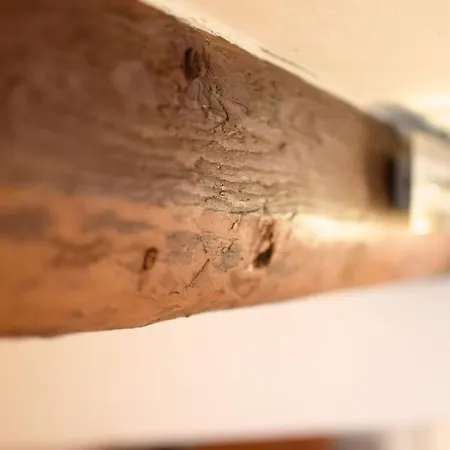 Historische Wohnung Im Herzen Der Regensburger Altstadt Exterior foto
